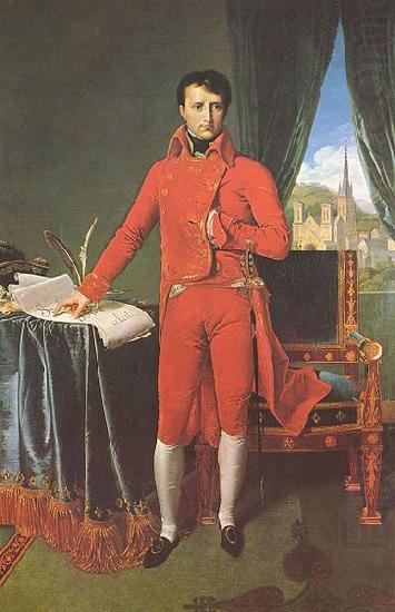 Jean-Auguste Dominique Ingres Portrat Napoleon Bonapartes als Erster Konsul china oil painting image